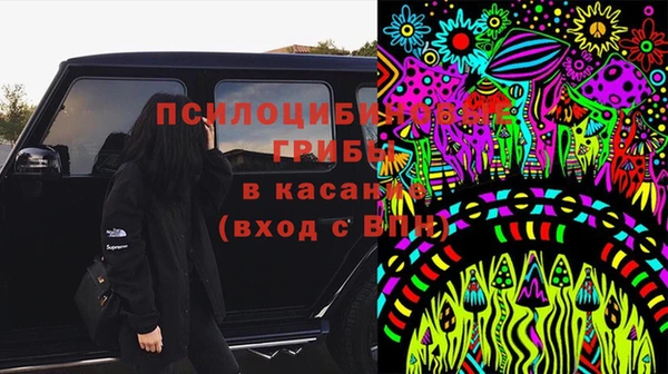 дурь Бородино