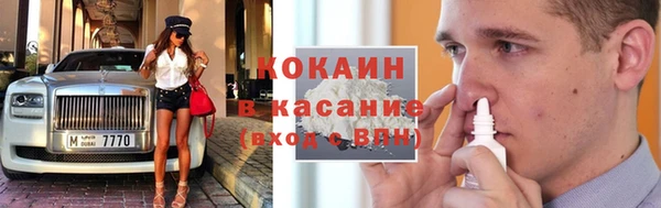 дурь Бородино