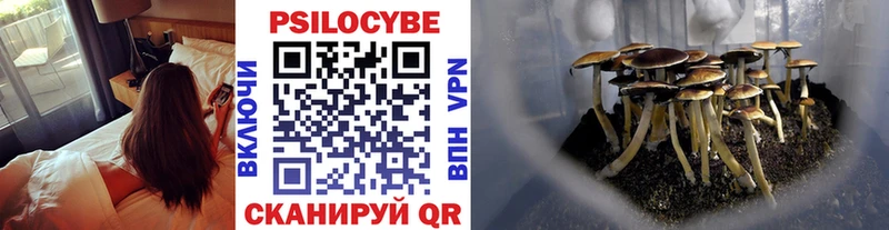 Псилоцибиновые грибы Psilocybe  Волжский 